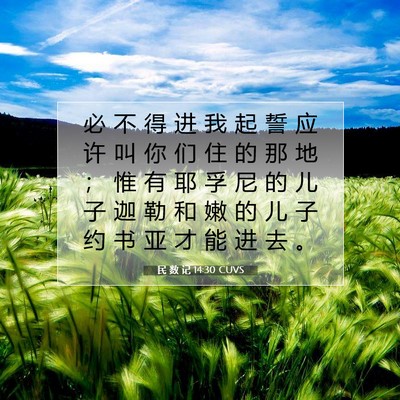 Picture 07 - 民 数 记 14:30 CUVS - 必 不 得 进 我 起 誓 应 许 叫 你 们 - Bible Verse Picture