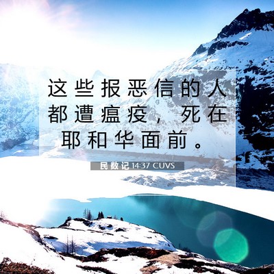 Picture 07 - 民 数 记 14:37 CUVS - 这 些 报 恶 信 的 人 都 遭 瘟 疫 ， - Bible Verse Picture