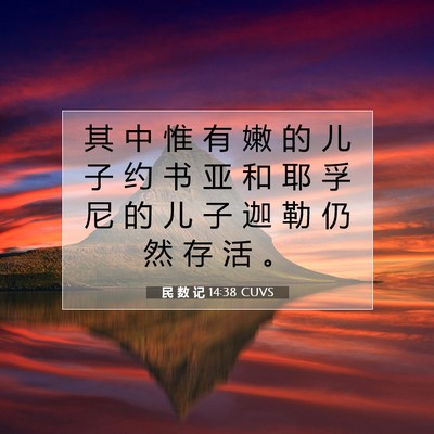 Picture 07 - 民 数 记 14:38 CUVS - 其 中 惟 有 嫩 的 儿 子 约 书 亚 和 - Bible Verse Picture