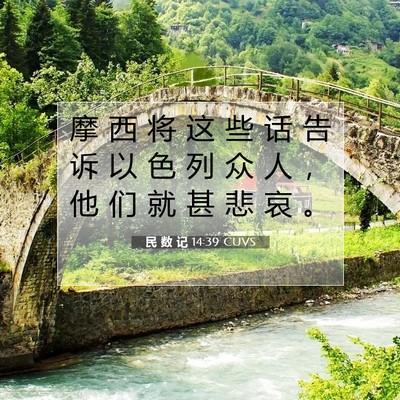 Picture 07 - 民 数 记 14:39 CUVS - 摩 西 将 这 些 话 告 诉 以 色 列 众 - Bible Verse Picture