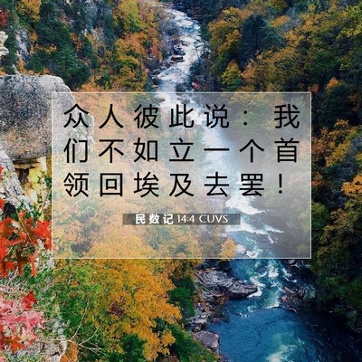 Picture 07 - 民 数 记 14:4 CUVS - 众 人 彼 此 说 ： 我 们 不 如 立 一 - Bible Verse Picture