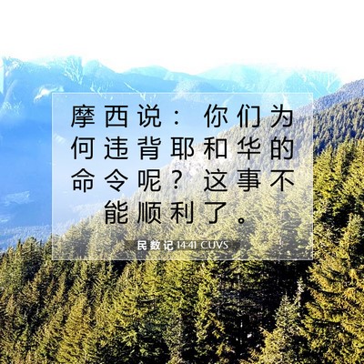 Picture 07 - 民 数 记 14:41 CUVS - 摩 西 说 ： 你 们 为 何 违 背 耶 和 - Bible Verse Picture
