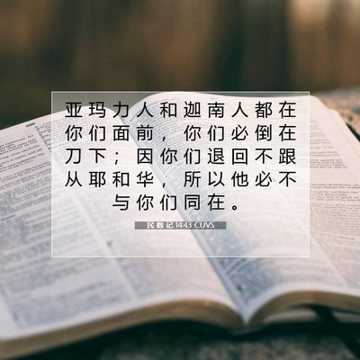 Picture 07 - 民 数 记 14:43 CUVS - 亚 玛 力 人 和 迦 南 人 都 在 你 们 - Bible Verse Picture