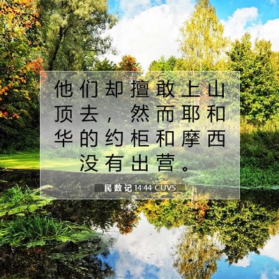 Picture 07 - 民 数 记 14:44 CUVS - 他 们 却 擅 敢 上 山 顶 去 ， 然 而 - Bible Verse Picture