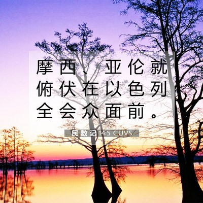 Picture 07 - 民 数 记 14:5 CUVS - 摩 西 、 亚 伦 就 俯 伏 在 以 色 列 - Bible Verse Picture