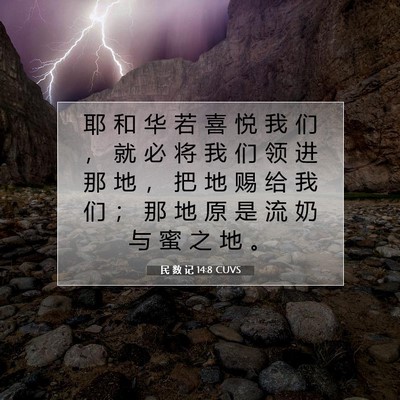 Picture 07 - 民 数 记 14:8 CUVS - 耶 和 华 若 喜 悦 我 们 ， 就 必 将 - Bible Verse Picture