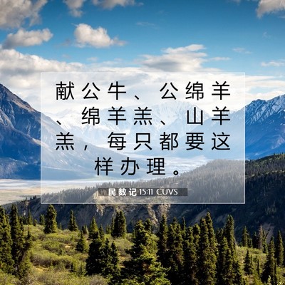 Picture 07 - 民 数 记 15:11 CUVS - 献 公 牛 、 公 绵 羊 、 绵 羊 羔 、 - Bible Verse Picture