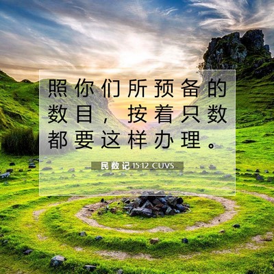 Picture 07 - 民 数 记 15:12 CUVS - 照 你 们 所 预 备 的 数 目 ， 按 着 - Bible Verse Picture