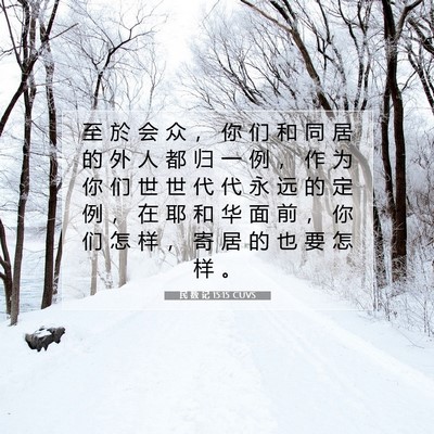 Picture 07 - 民 数 记 15:15 CUVS - 至 於 会 众 ， 你 们 和 同 居 的 外 - Bible Verse Picture