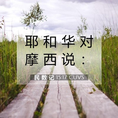Picture 07 - 民 数 记 15:17 CUVS - 耶 和 华 对 摩 西 说 - Bible Verse Picture