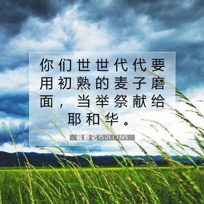 Picture 07 - 民 数 记 15:21 CUVS - 你 们 世 世 代 代 要 用 初 熟 的 麦 - Bible Verse Picture