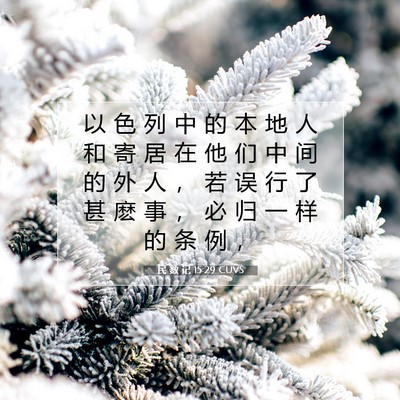 Picture 07 - 民 数 记 15:29 CUVS - 以 色 列 中 的 本 地 人 和 寄 居 在 - Bible Verse Picture
