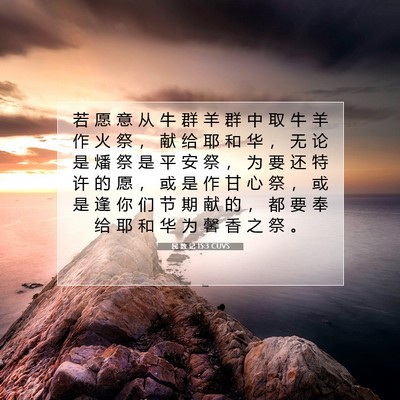 Picture 07 - 民 数 记 15:3 CUVS - 若 愿 意 从 牛 群 羊 群 中 取 牛 羊 - Bible Verse Picture