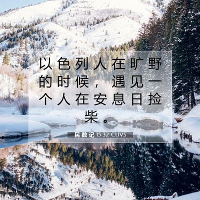 Picture 07 - 民 数 记 15:32 CUVS - 以 色 列 人 在 旷 野 的 时 候 ， 遇 - Bible Verse Picture