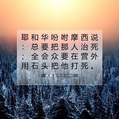 Picture 07 - 民 数 记 15:35 CUVS - 耶 和 华 吩 咐 摩 西 说 ： 总 要 把 - Bible Verse Picture