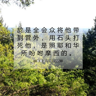 Picture 07 - 民 数 记 15:36 CUVS - 於 是 全 会 众 将 他 带 到 营 外 ， - Bible Verse Picture