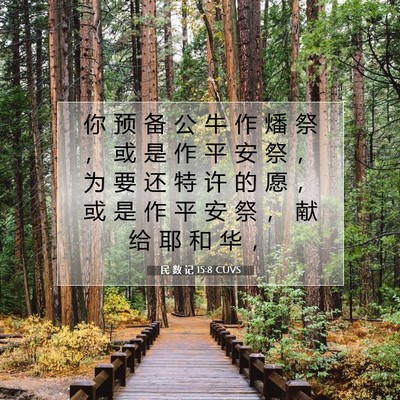 Picture 07 - 民 数 记 15:8 CUVS - 你 预 备 公 牛 作 燔 祭 ， 或 是 作 - Bible Verse Picture
