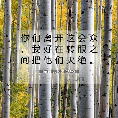 Picture 07 - 民 数 记 16:21 CUVS - 你 们 离 开 这 会 众 ， 我 好 在 转 - Bible Verse Picture