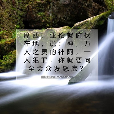 Picture 07 - 民 数 记 16:22 CUVS - 摩 西 、 亚 伦 就 俯 伏 在 地 ， 说 - Bible Verse Picture