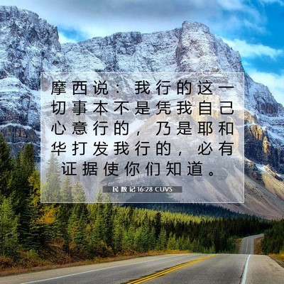 Picture 07 - 民 数 记 16:28 CUVS - 摩 西 说 ： 我 行 的 这 一 切 事 本 - Bible Verse Picture