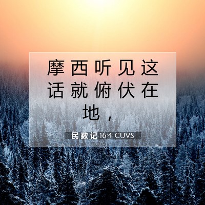 Picture 07 - 民 数 记 16:4 CUVS - 摩 西 听 见 这 话 就 俯 伏 在 地 - Bible Verse Picture
