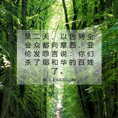 Picture 07 - 民 数 记 16:41 CUVS - 第 二 天 ， 以 色 列 全 会 众 都 向 - Bible Verse Picture