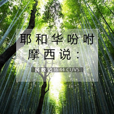 Picture 07 - 民 数 记 16:44 CUVS - 耶 和 华 吩 咐 摩 西 说 - Bible Verse Picture