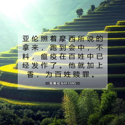 Picture 07 - 民 数 记 16:47 CUVS - 亚 伦 照 着 摩 西 所 说 的 拿 来 ， - Bible Verse Picture