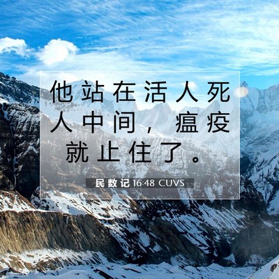 Picture 07 - 民 数 记 16:48 CUVS - 他 站 在 活 人 死 人 中 间 ， 瘟 疫 - Bible Verse Picture