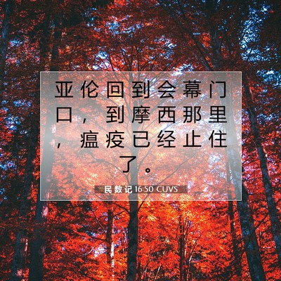 Picture 07 - 民 数 记 16:50 CUVS - 亚 伦 回 到 会 幕 门 口 ， 到 摩 西 - Bible Verse Picture