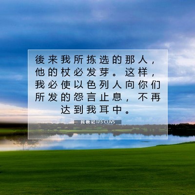 Picture 07 - 民 数 记 17:5 CUVS - 後 来 我 所 拣 选 的 那 人 ， 他 的 - Bible Verse Picture