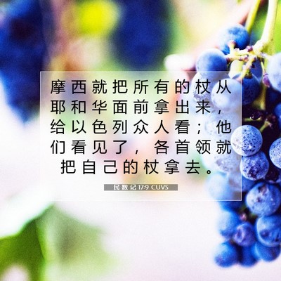 Picture 07 - 民 数 记 17:9 CUVS - 摩 西 就 把 所 有 的 杖 从 耶 和 华 - Bible Verse Picture