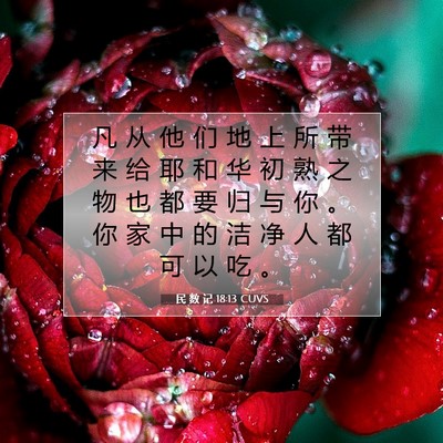 Picture 07 - 民 数 记 18:13 CUVS - 凡 从 他 们 地 上 所 带 来 给 耶 和 - Bible Verse Picture