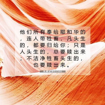 Picture 07 - 民 数 记 18:15 CUVS - 他 们 所 有 奉 给 耶 和 华 的 ， 连 - Bible Verse Picture