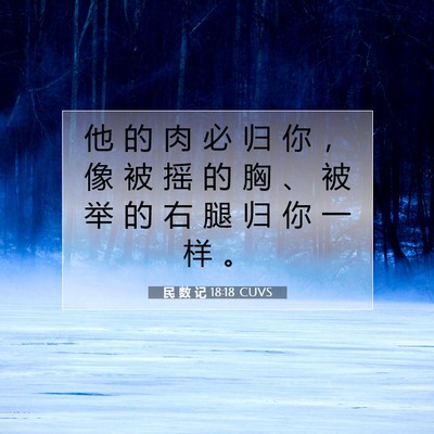 Picture 07 - 民 数 记 18:18 CUVS - 他 的 肉 必 归 你 ， 像 被 摇 的 胸 - Bible Verse Picture