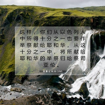 Picture 07 - 民 数 记 18:28 CUVS - 这 样 ， 你 们 从 以 色 列 人 中 所 - Bible Verse Picture