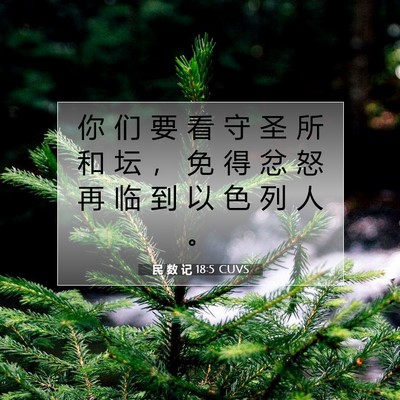 Picture 07 - 民 数 记 18:5 CUVS - 你 们 要 看 守 圣 所 和 坛 ， 免 得 - Bible Verse Picture