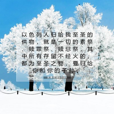 Picture 07 - 民 数 记 18:9 CUVS - 以 色 列 人 归 给 我 至 圣 的 供 物 - Bible Verse Picture