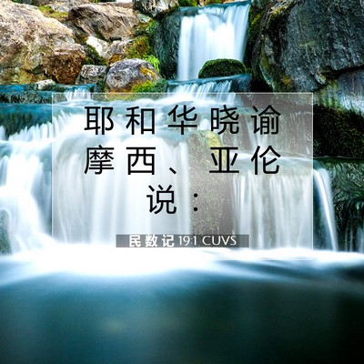 Picture 07 - 民 数 记 19:1 CUVS - 耶 和 华 晓 谕 摩 西 、 亚 伦 说 - Bible Verse Picture
