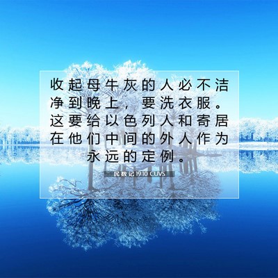 Picture 07 - 民 数 记 19:10 CUVS - 收 起 母 牛 灰 的 人 必 不 洁 净 到 - Bible Verse Picture
