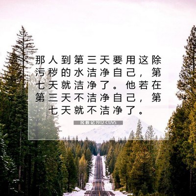 Picture 07 - 民 数 记 19:12 CUVS - 那 人 到 第 三 天 要 用 这 除 污 秽 - Bible Verse Picture