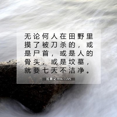 Picture 07 - 民 数 记 19:16 CUVS - 无 论 何 人 在 田 野 里 摸 了 被 刀 - Bible Verse Picture