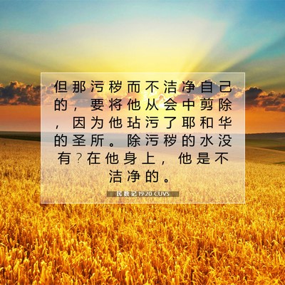 Picture 07 - 民 数 记 19:20 CUVS - 但 那 污 秽 而 不 洁 净 自 己 的 ， - Bible Verse Picture