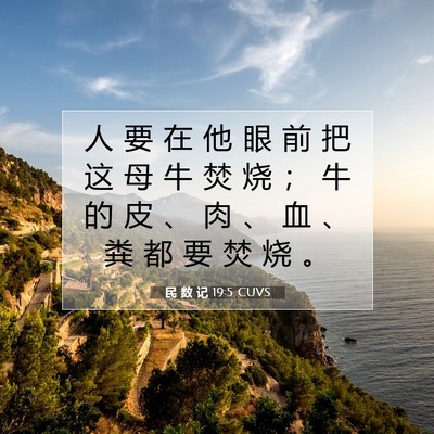 Picture 07 - 民 数 记 19:5 CUVS - 人 要 在 他 眼 前 把 这 母 牛 焚 烧 - Bible Verse Picture