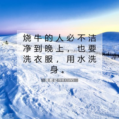 Picture 07 - 民 数 记 19:8 CUVS - 烧 牛 的 人 必 不 洁 净 到 晚 上 ， - Bible Verse Picture