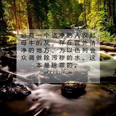 Picture 07 - 民 数 记 19:9 CUVS - 必 有 一 个 洁 净 的 人 收 起 母 牛 - Bible Verse Picture