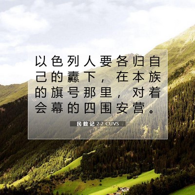 Picture 07 - 民 数 记 2:2 CUVS - 以 色 列 人 要 各 归 自 己 的 纛 下 - Bible Verse Picture