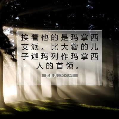 Picture 07 - 民 数 记 2:20 CUVS - 挨 着 他 的 是 玛 拿 西 支 派 。 比 - Bible Verse Picture