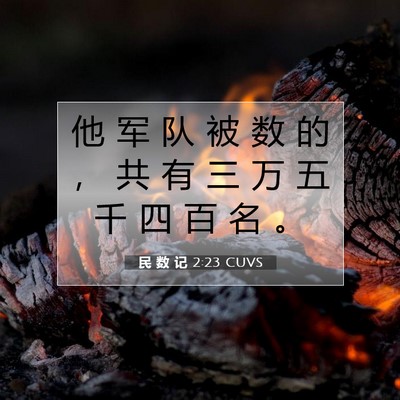 Picture 07 - 民 数 记 2:23 CUVS - 他 军 队 被 数 的 ， 共 有 三 万 五 - Bible Verse Picture