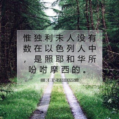 Picture 07 - 民 数 记 2:33 CUVS - 惟 独 利 未 人 没 有 数 在 以 色 列 - Bible Verse Picture